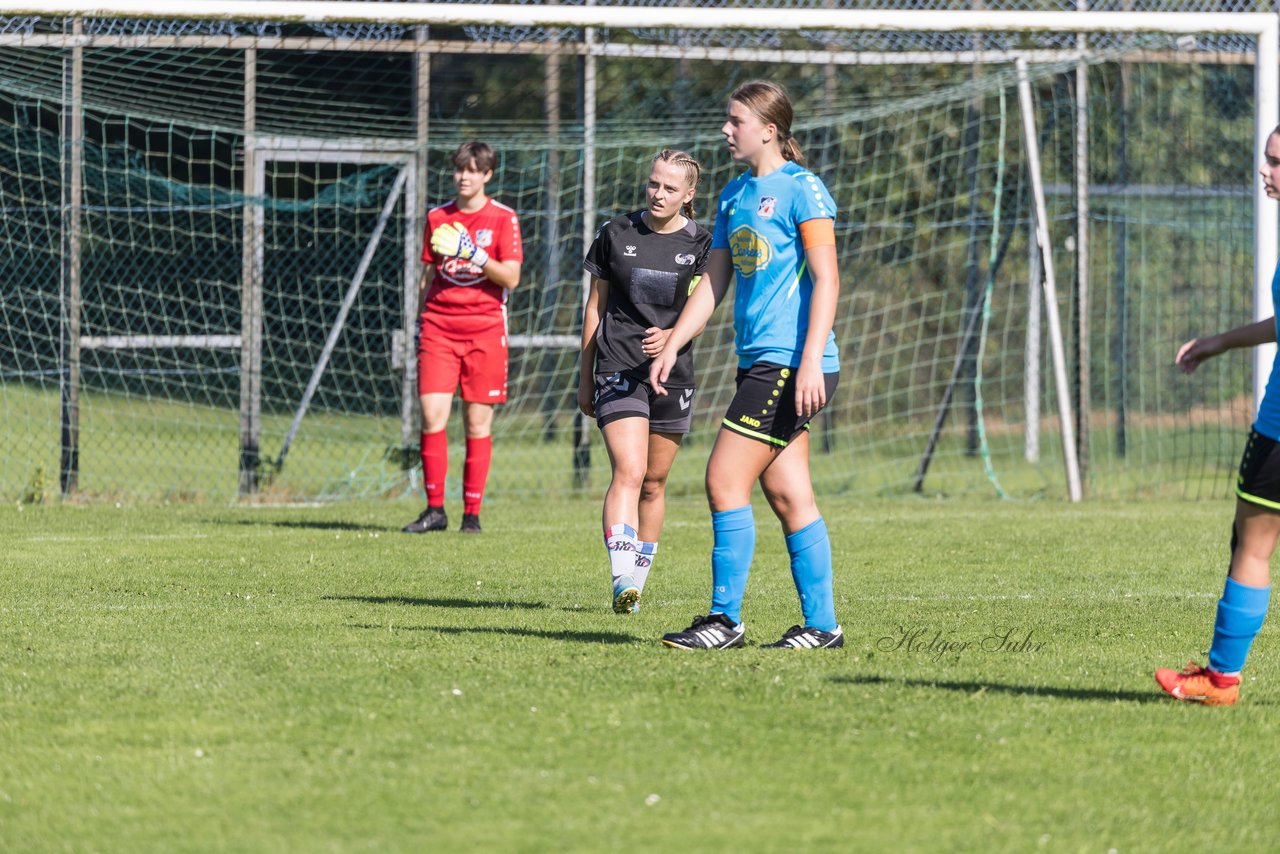 Bild 160 - wBJ SV Henstedt Ulzburg - FSG Oldendorf Itzehoe : Ergebnis: 2:5